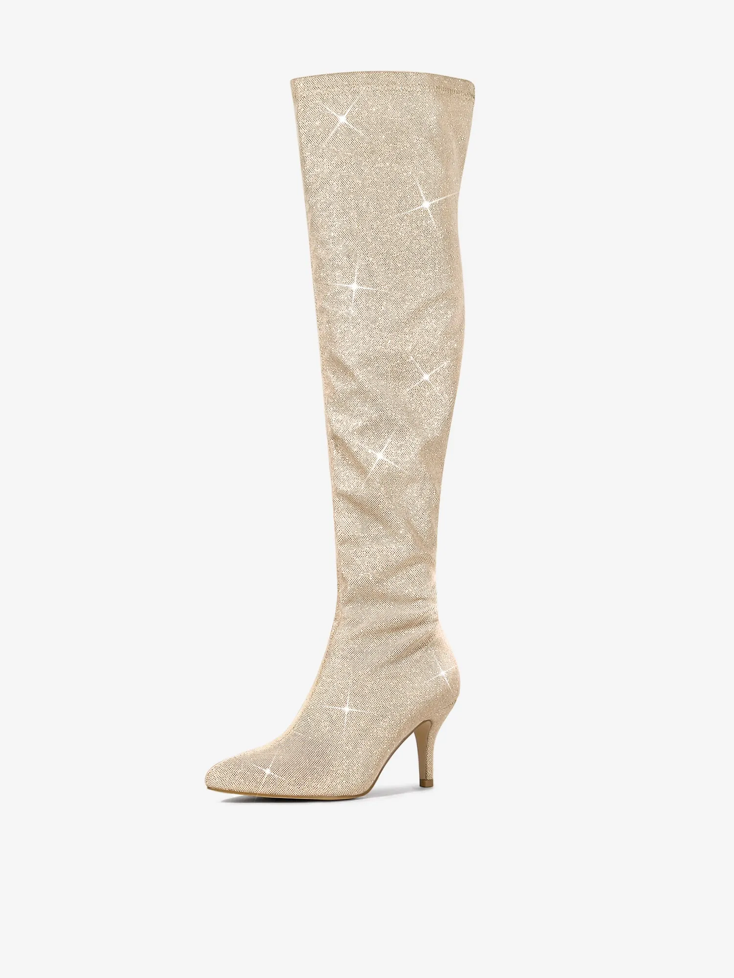 Glitter Pointed Toe Stiletto Heel Over the Knee High Boot