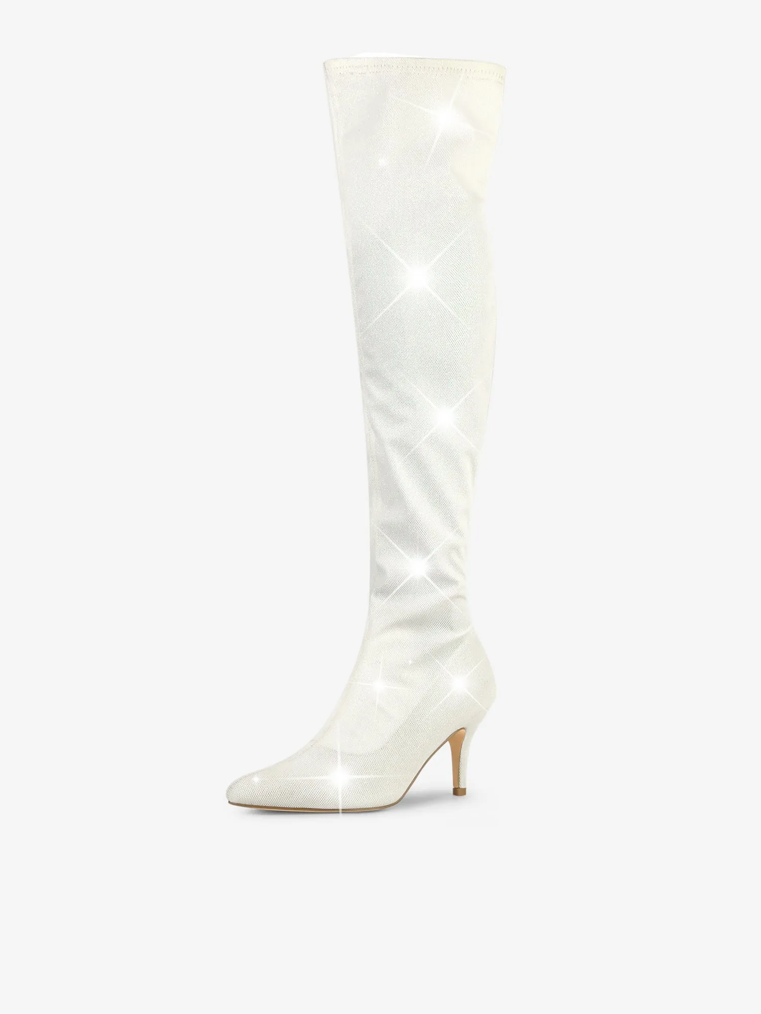 Glitter Pointed Toe Stiletto Heel Over the Knee High Boot